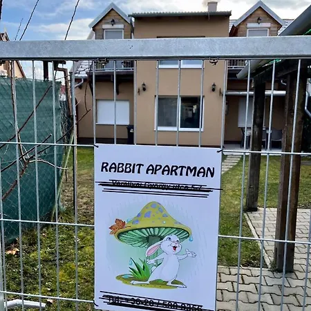 Apartment Rabbit *
